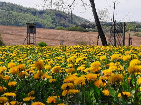 Zariadenie pre seniorov Nová Dubnica - fotka 2