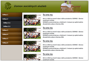 Nezisková organizácia VYSNÍVANÝ DOMOV