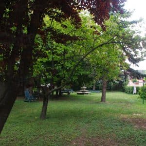 Zariadenie pre seniorov Križovany nad Dudváhom - fotka 5